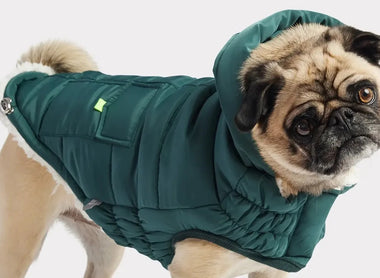 Dog Coats - Finding the Perfect Fit