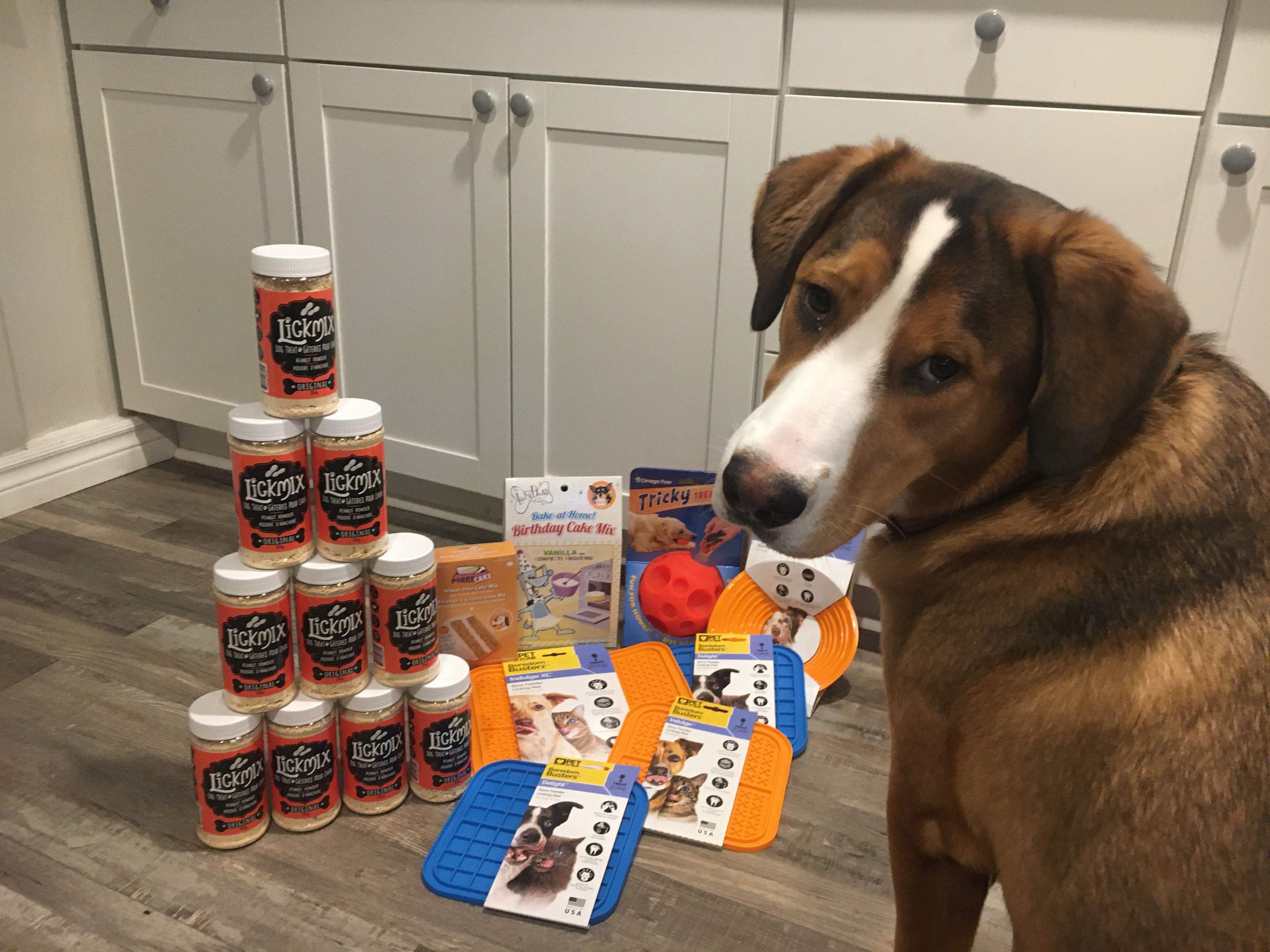 What to Put in a Lickimat?  Peanut Butter Alternatives – Terrible Toby's  Pet Supply Depot